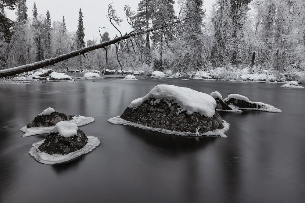 Photograph by Alexey Fedorov