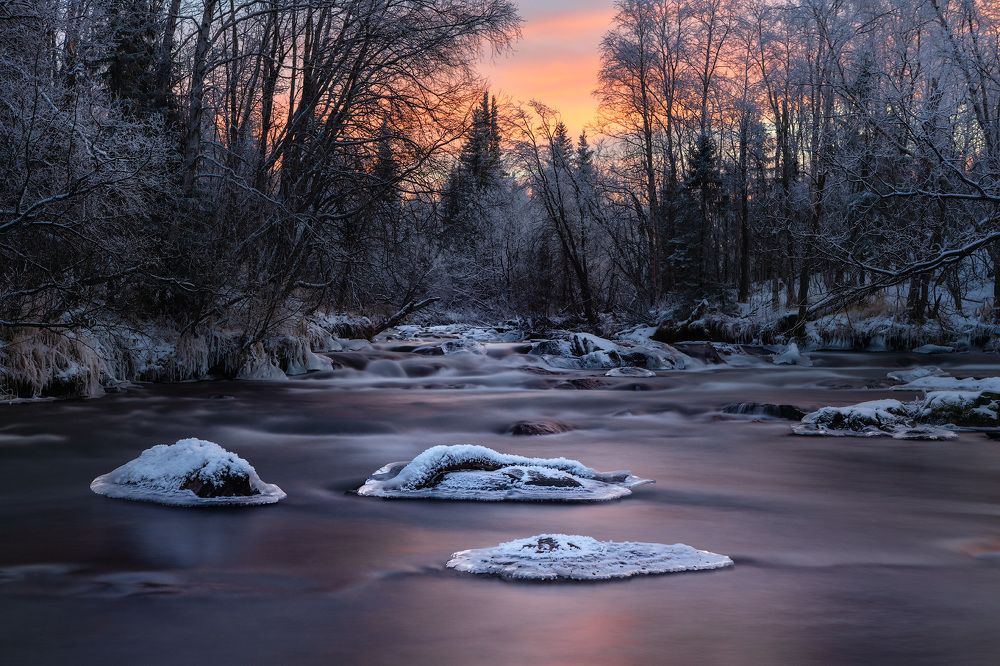 Photograph by Alexey Fedorov