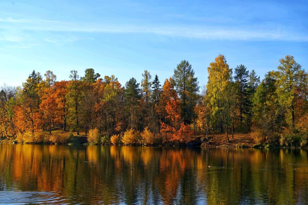 Photograph by Dark Ambient