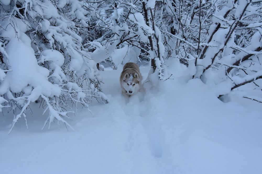 Photograph by Евгений Захаров