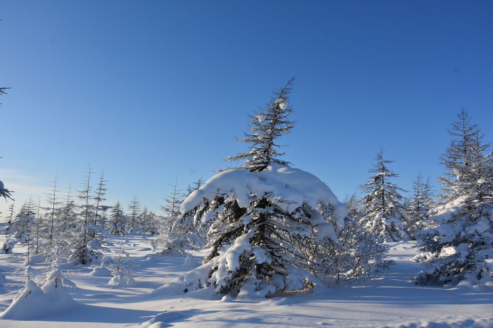 Photograph by Евгений Захаров