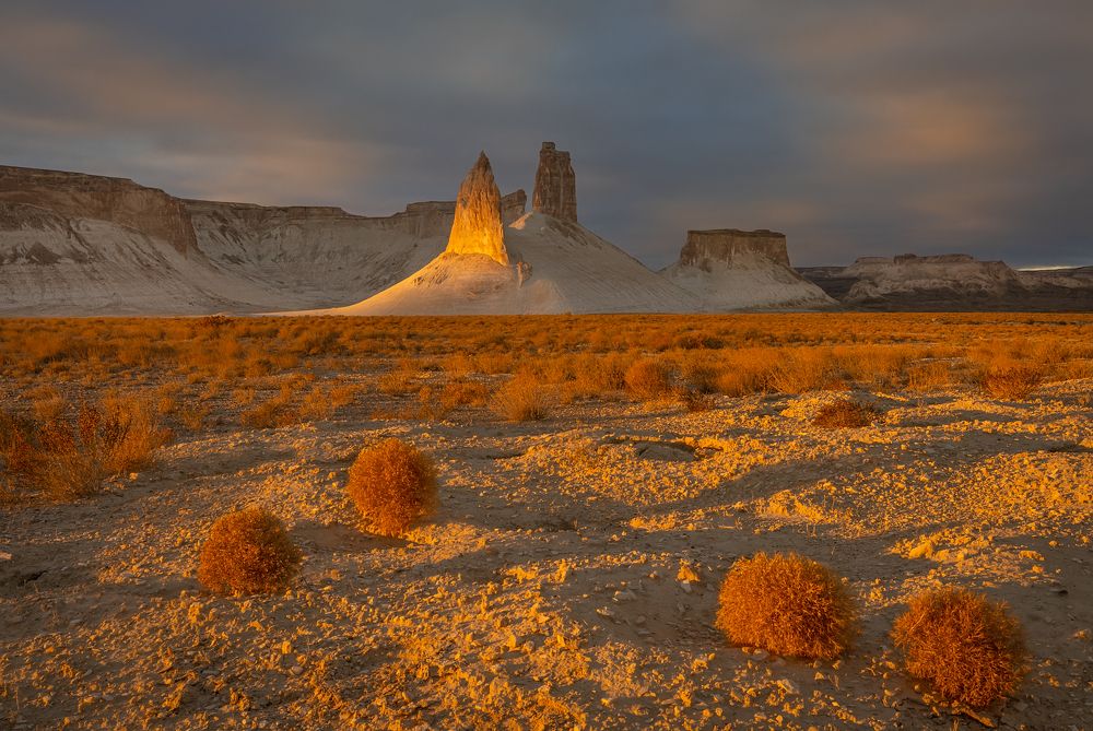 Photograph by Ольга Мусиенко