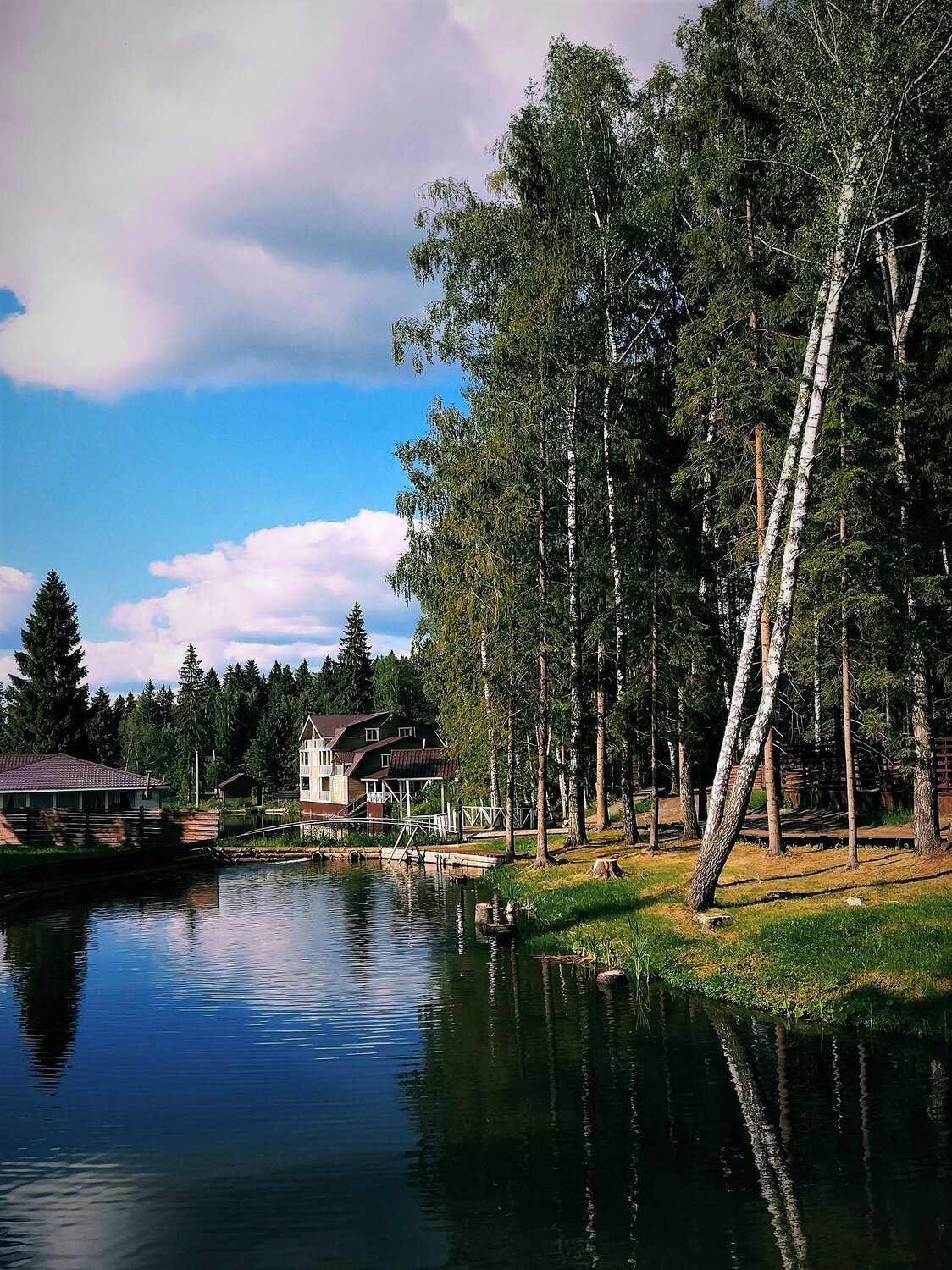 Photo #8497163
