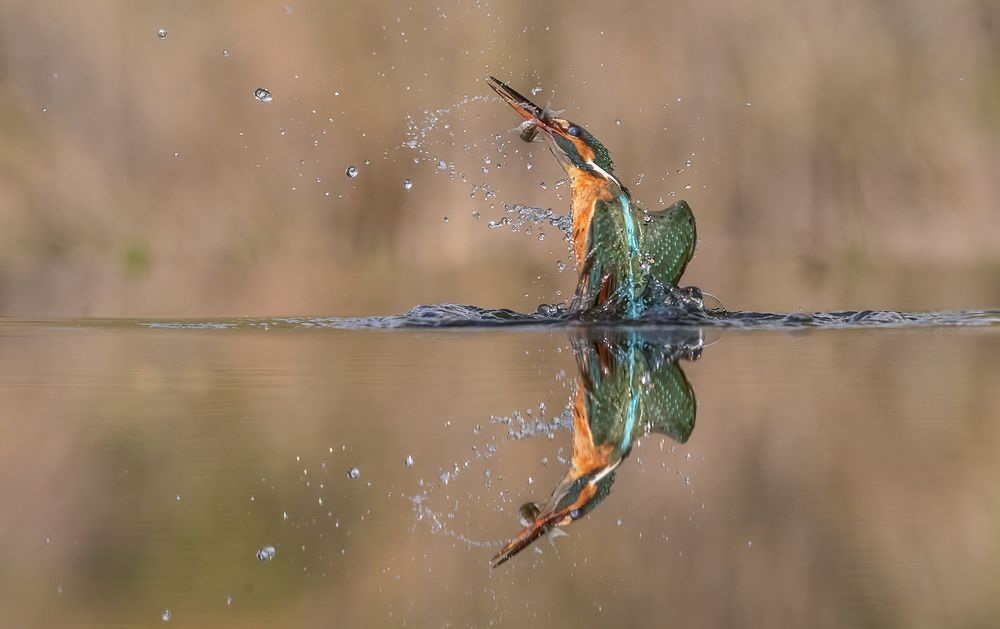 Photograph by Sheree Chang