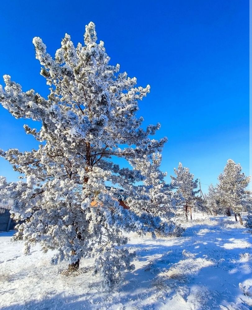 Photograph by Татьяна Радченко