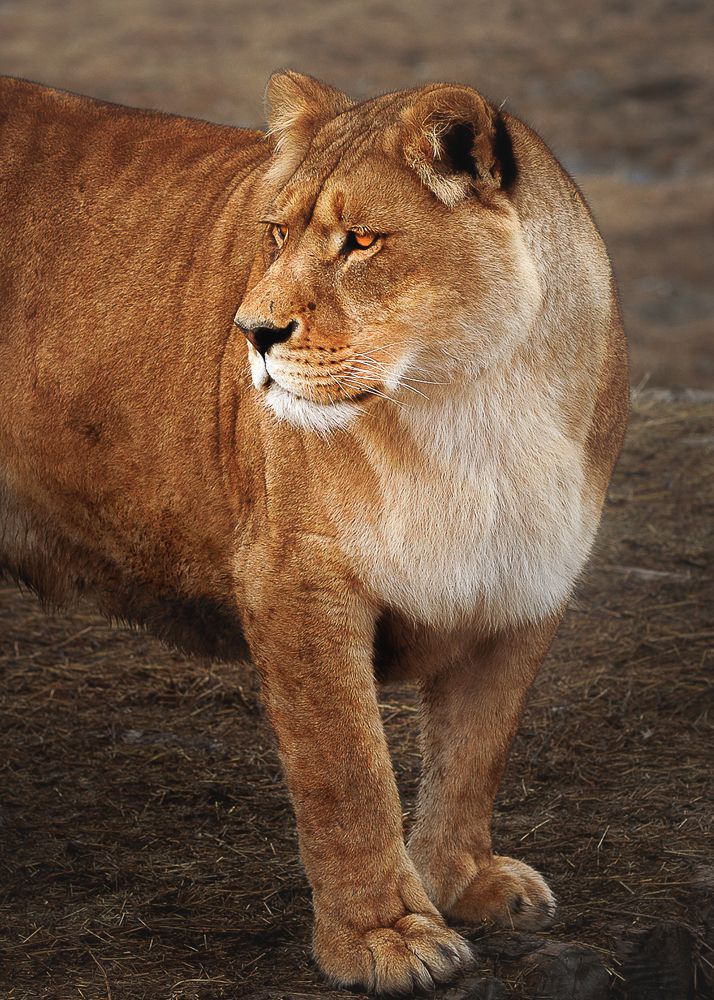 Photograph by Julia Moiseenko