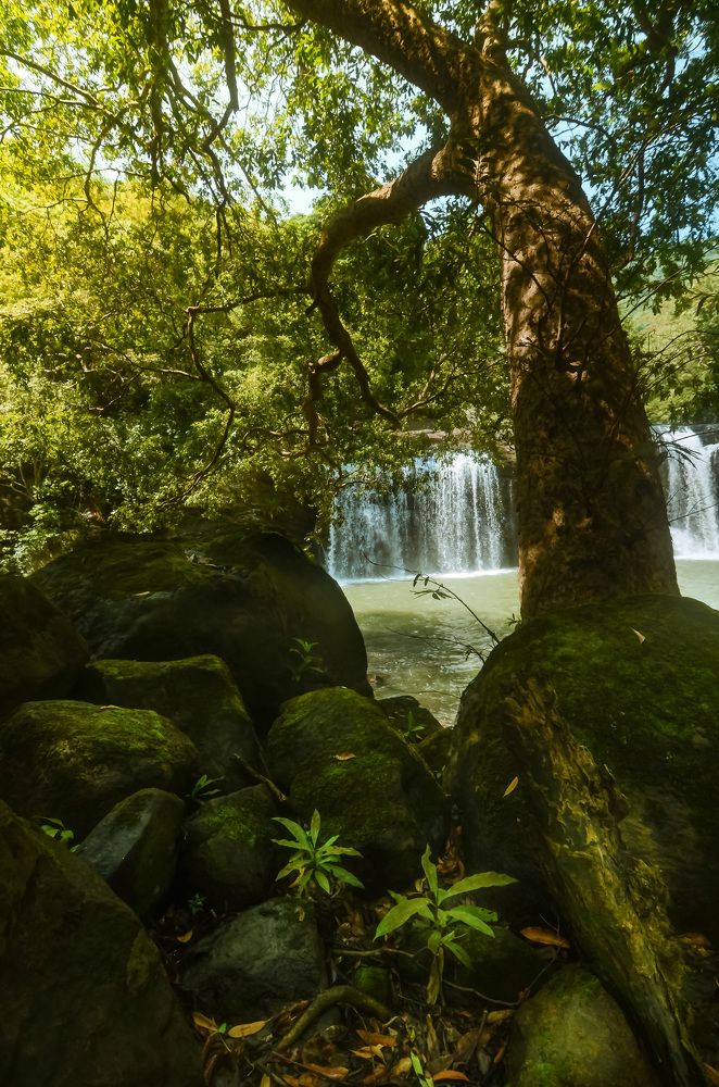 Photograph by Amith Anuradha