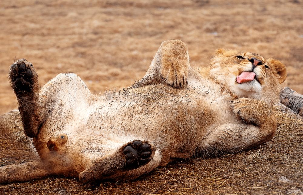 Photograph by Julia Moiseenko