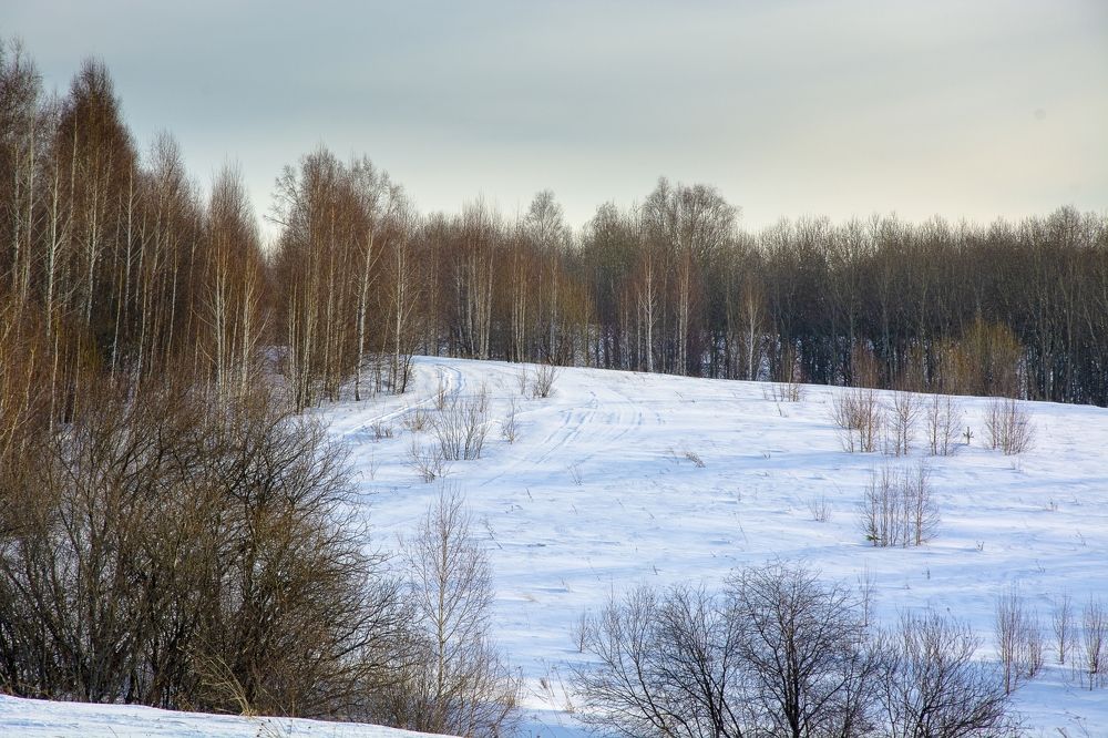 Photograph by Михаил Лавренков