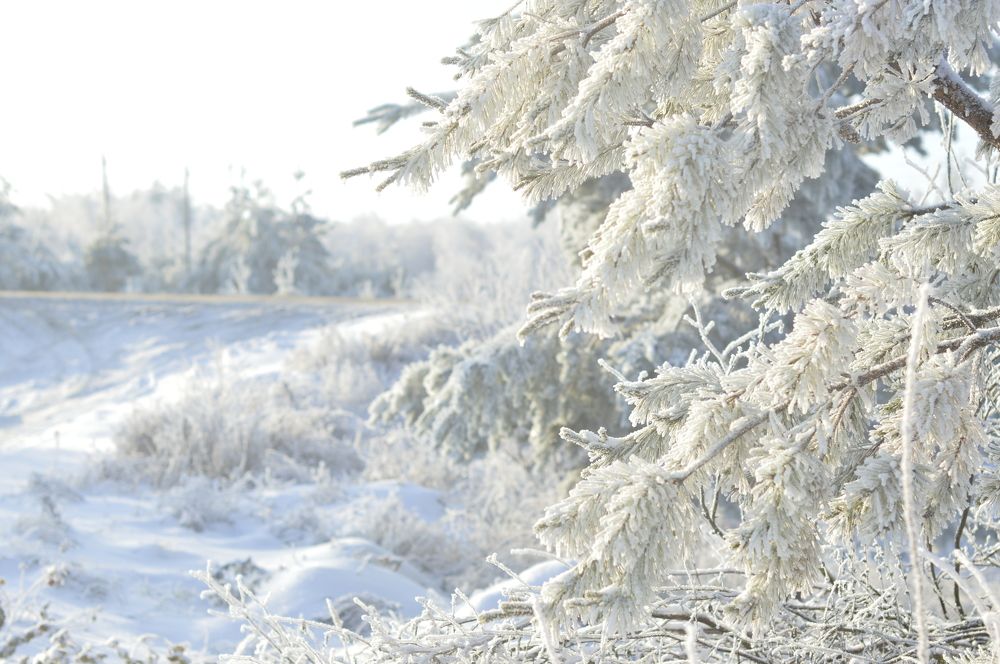 Photograph by Елена Квасова