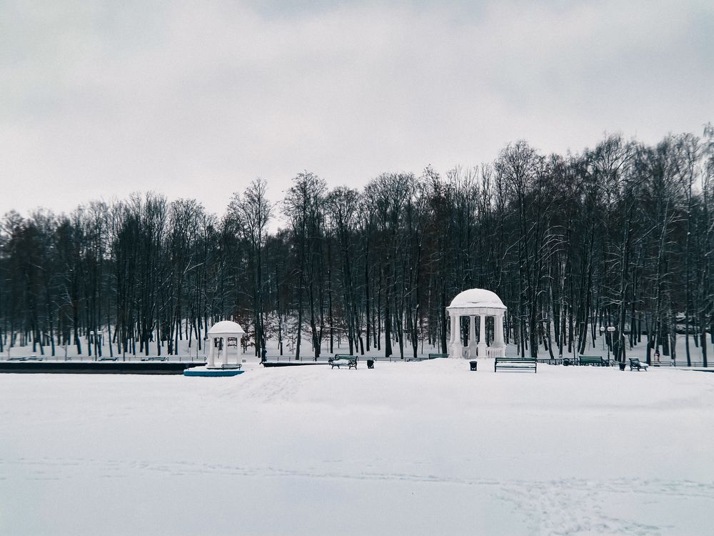 Photograph by Владимир Гвозд