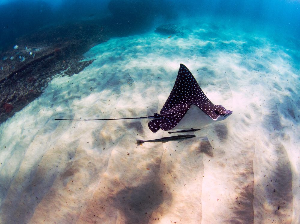 Photograph by Victor Bezerra