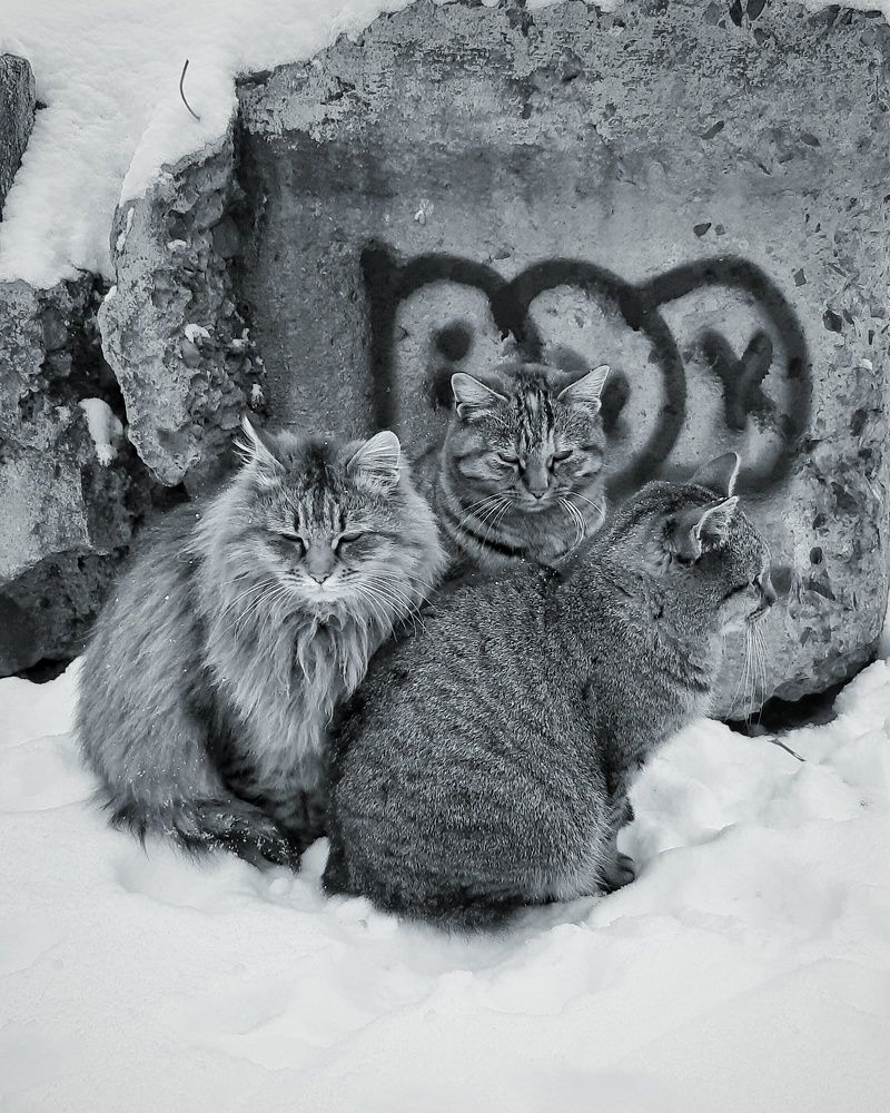 Photograph by MobigrafVDK