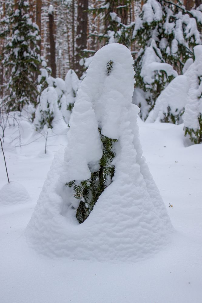 Photograph by Наиль Шакиров