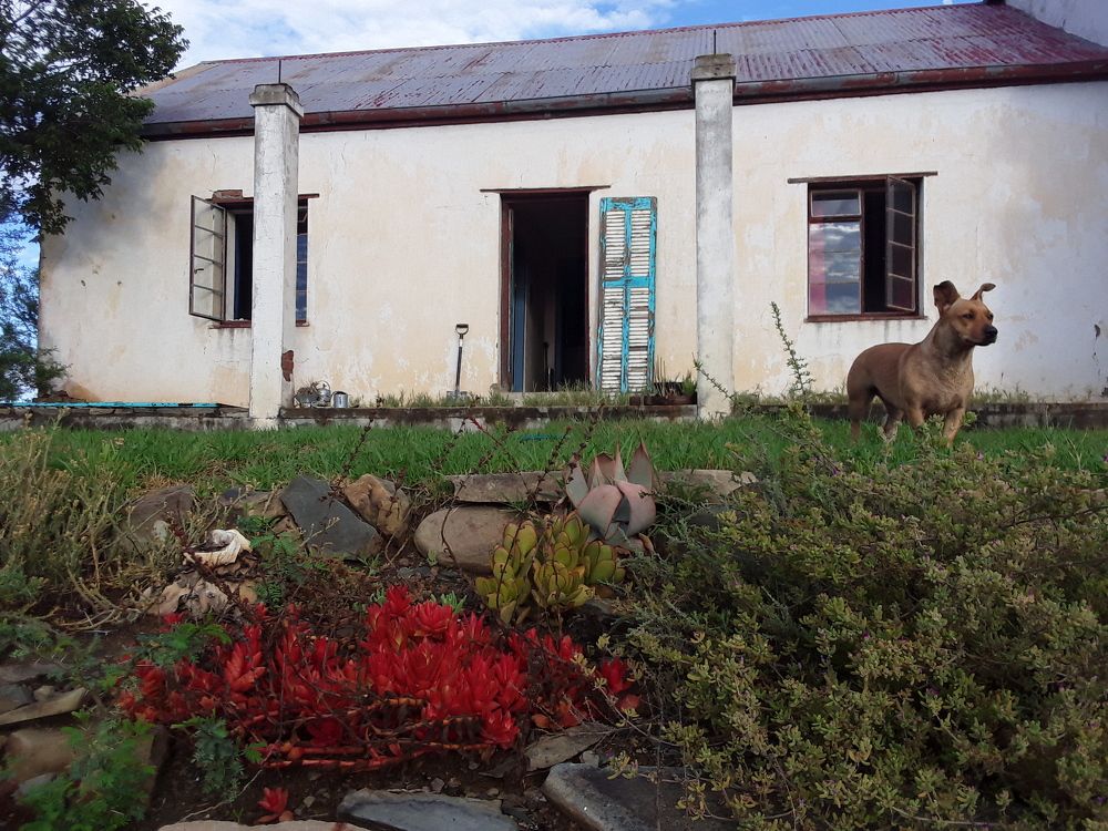 Фотография автора Grant Botha