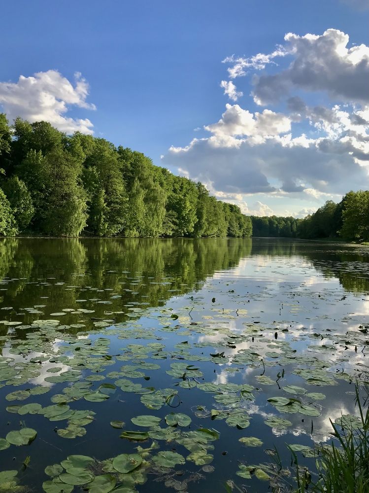 Photograph by Михаил Некрасов