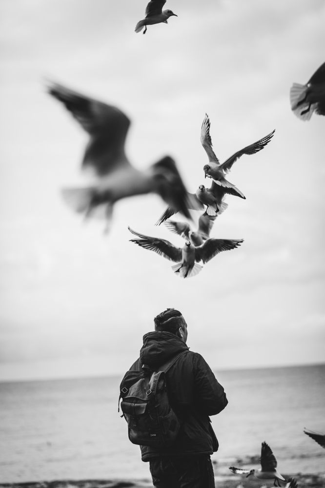 Photograph by Елена Суханкина