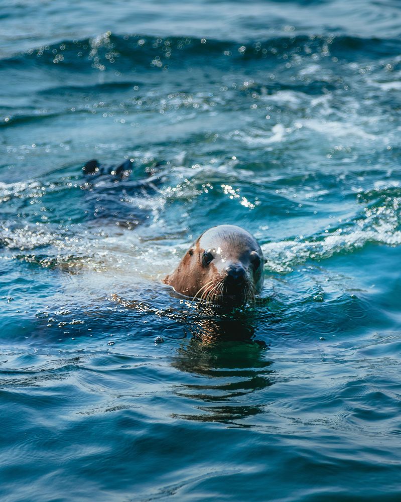 Photograph by Дмитрий Колосов