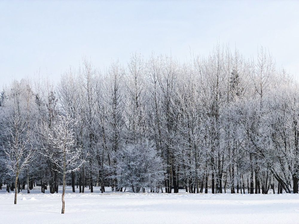 Фотография автора Olga Kichkaila