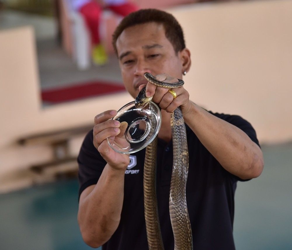 Photograph by Алексей Большаков