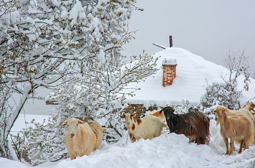 Зима в село Осиково.