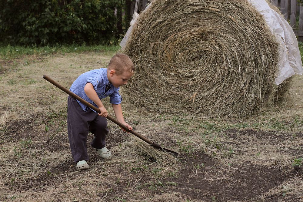 Photograph by Полина Ефимова