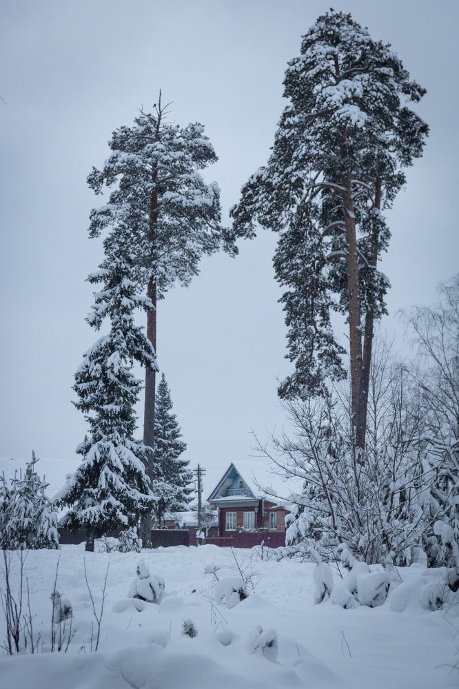 Домик в снегах