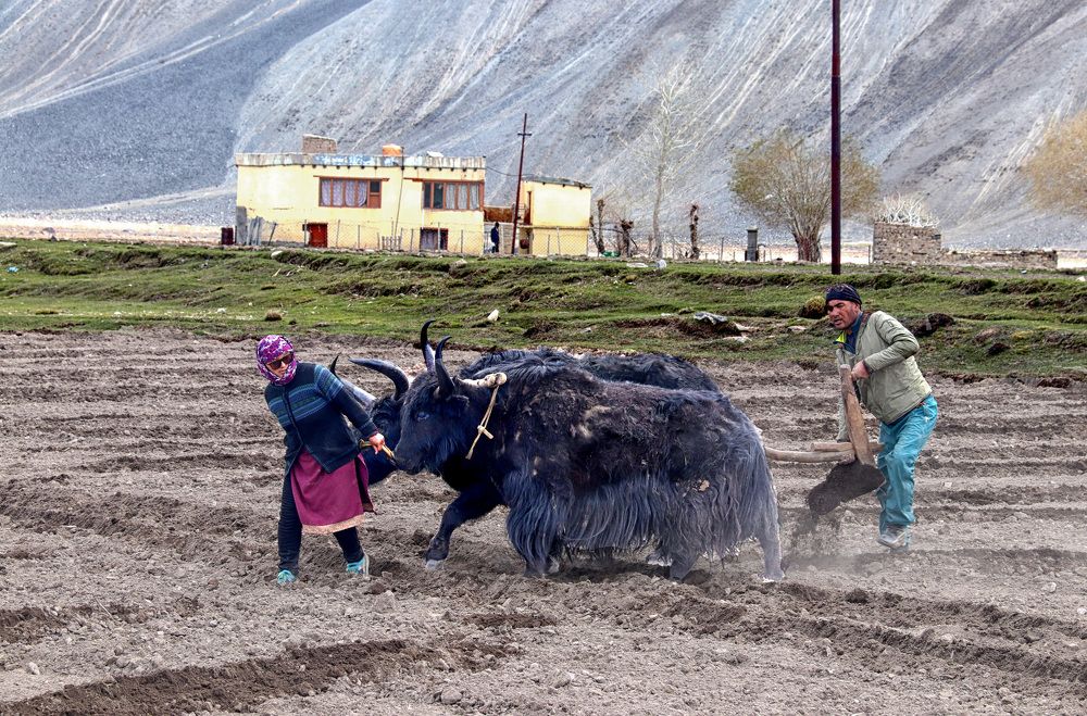 Photograph by Drora Baharal