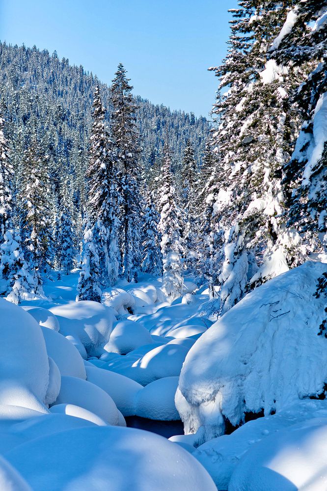 Photograph by Максимова Ольга Васильевна