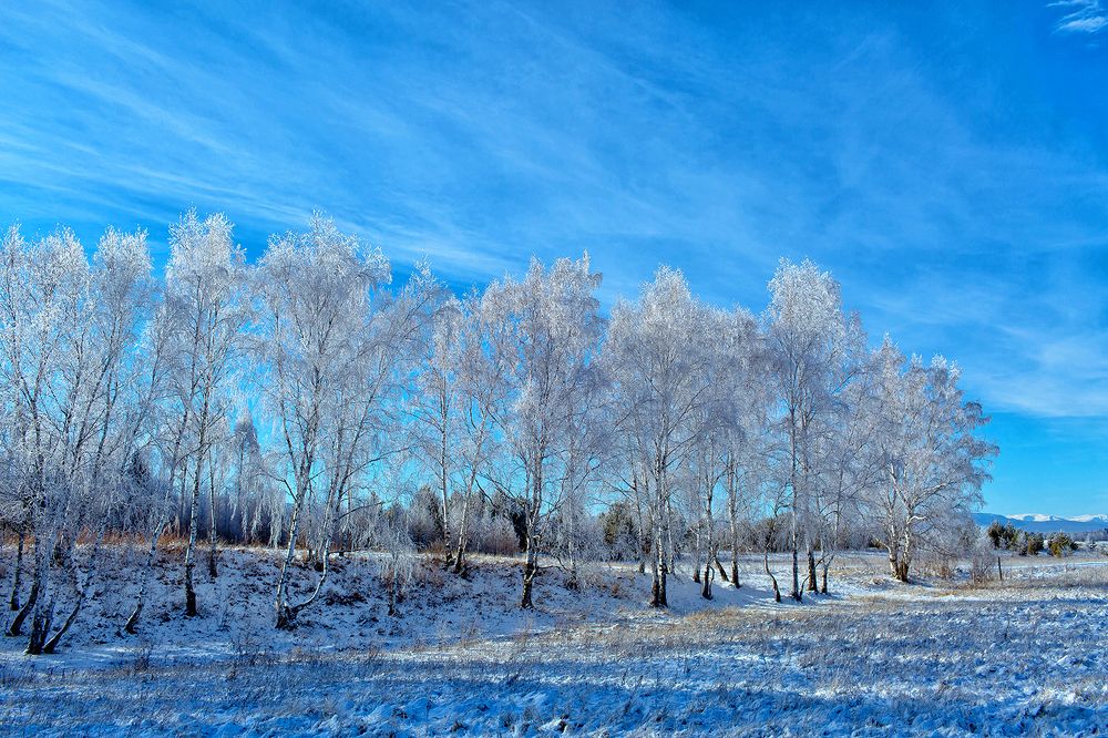 Photograph by Максимова Ольга Васильевна