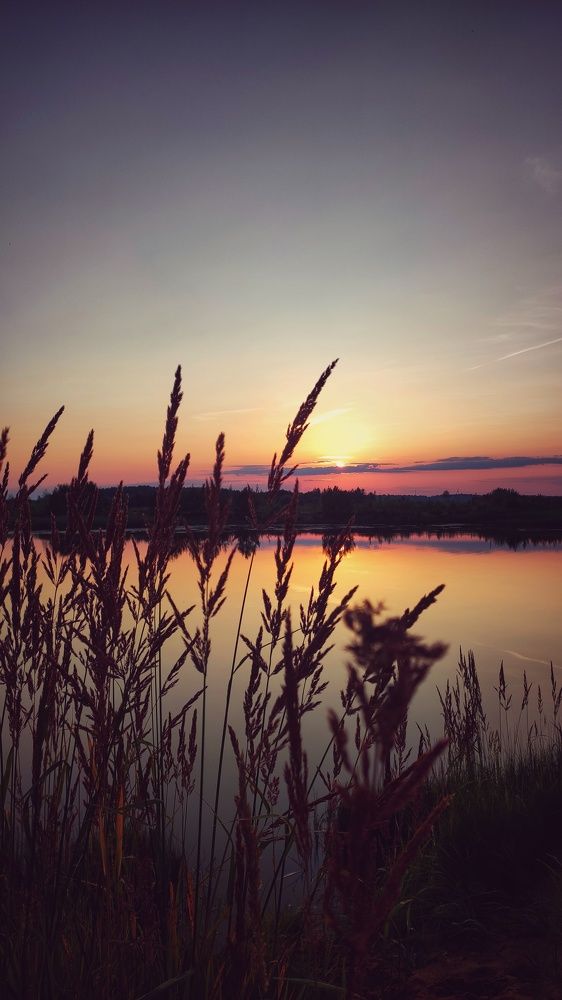 Photograph by Наталья Калюнова