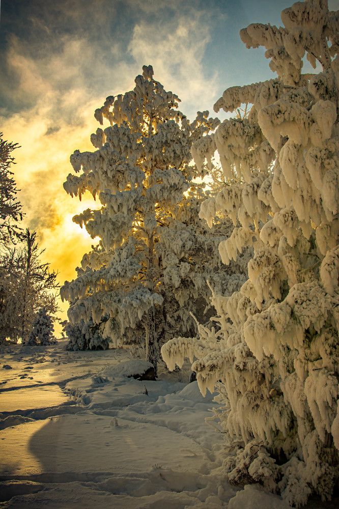 Photograph by Алексей Егоров