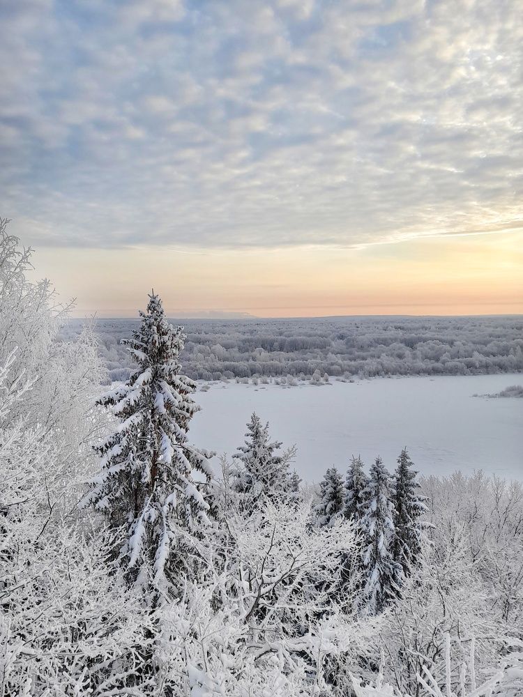 Фотография автора Тамара Караваева