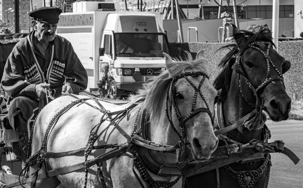 Photograph by Alex Kalpus