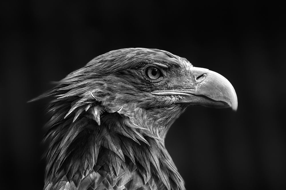 Photograph by Nora Skerlecz