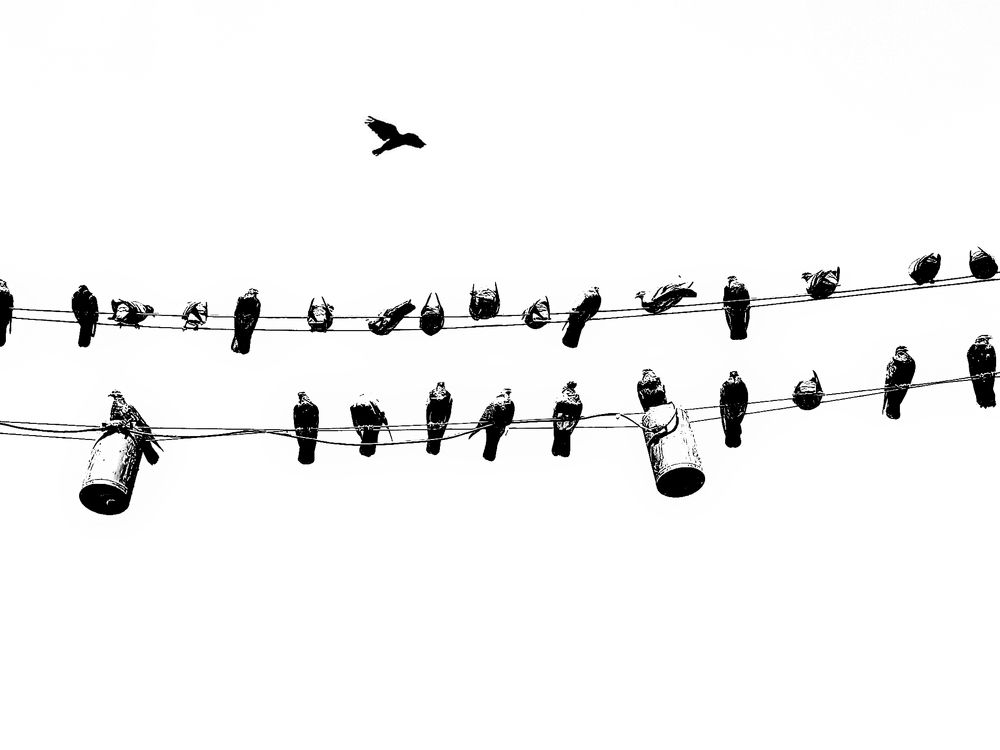 Photograph by shima yousef zade