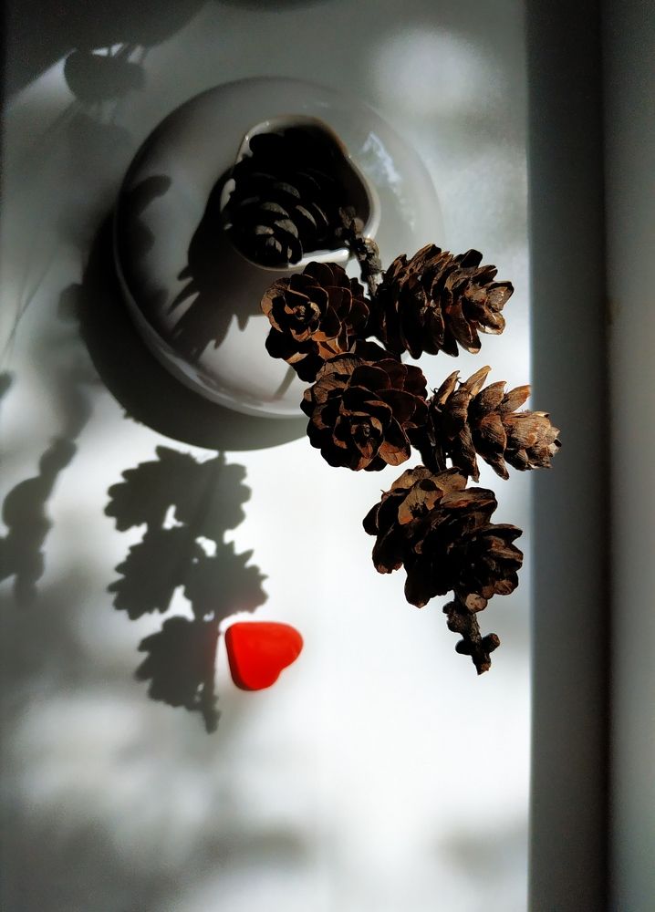 Photograph by Наталья Ефимова