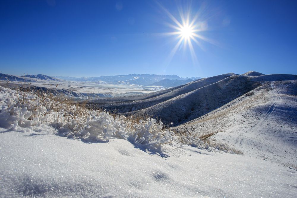 Photograph by Антон Андриянов