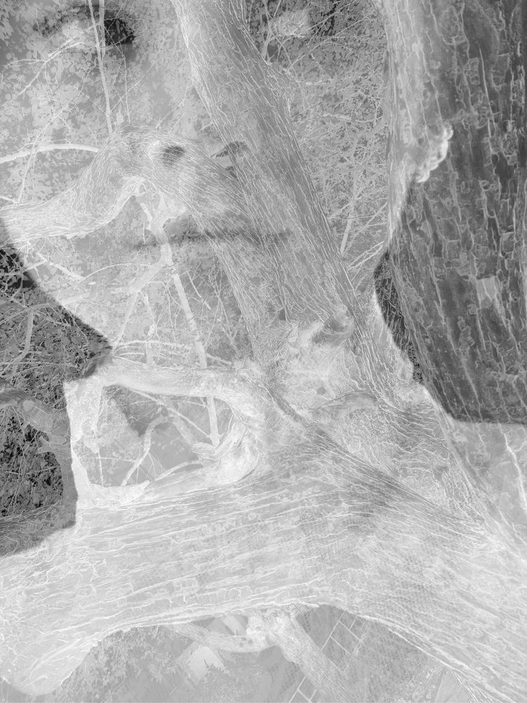 Photograph by Екатерина Микрюкова