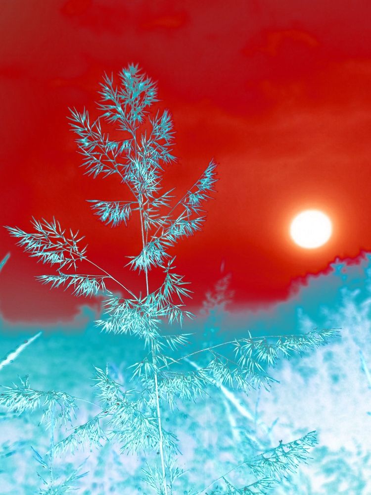 Photograph by Зоя Кулько