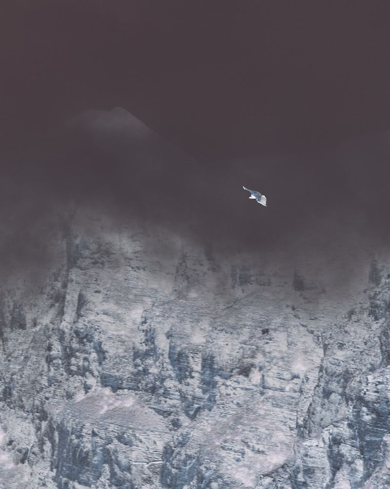 Photograph by Екатерина Микрюкова