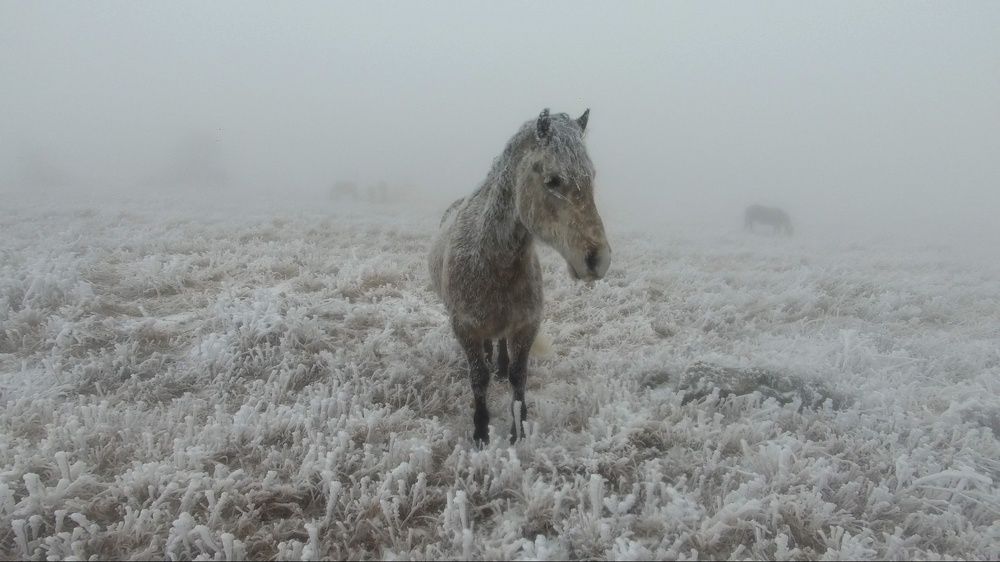 Photograph by Катя Ракета