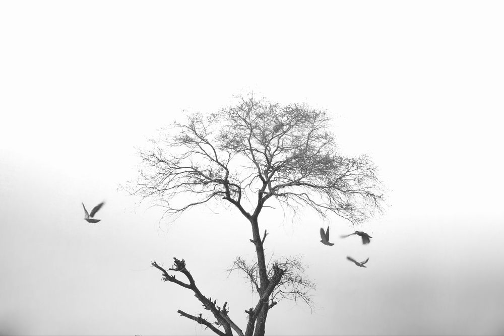 Фотография автора Subham Banerjee