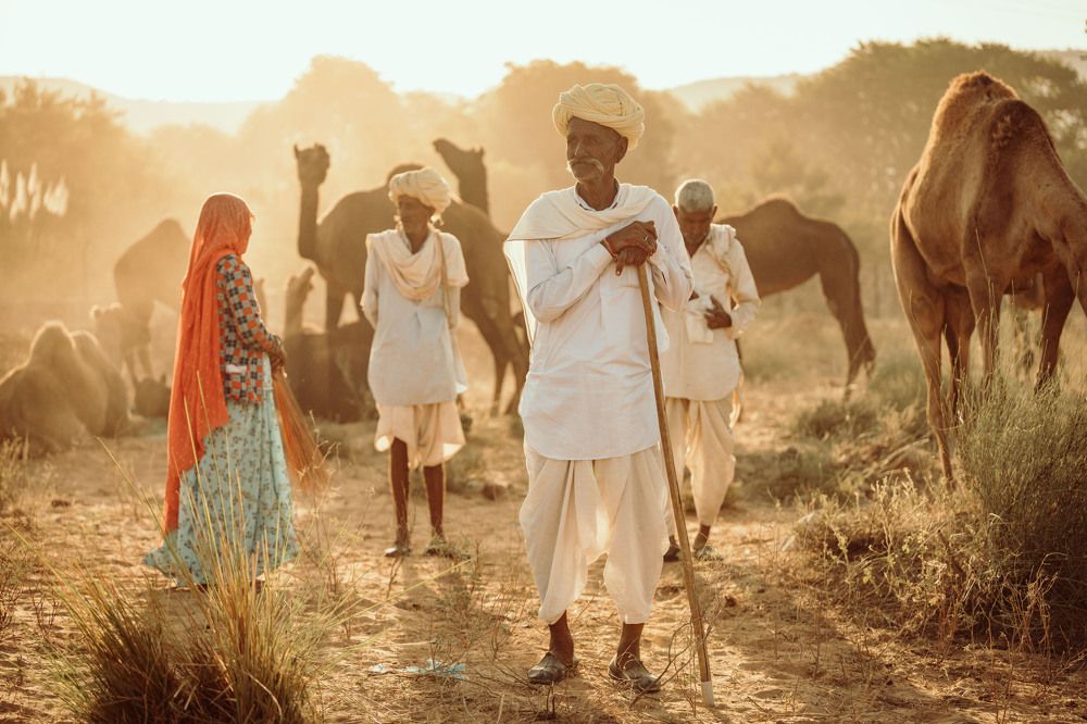 Pushkar camel fair