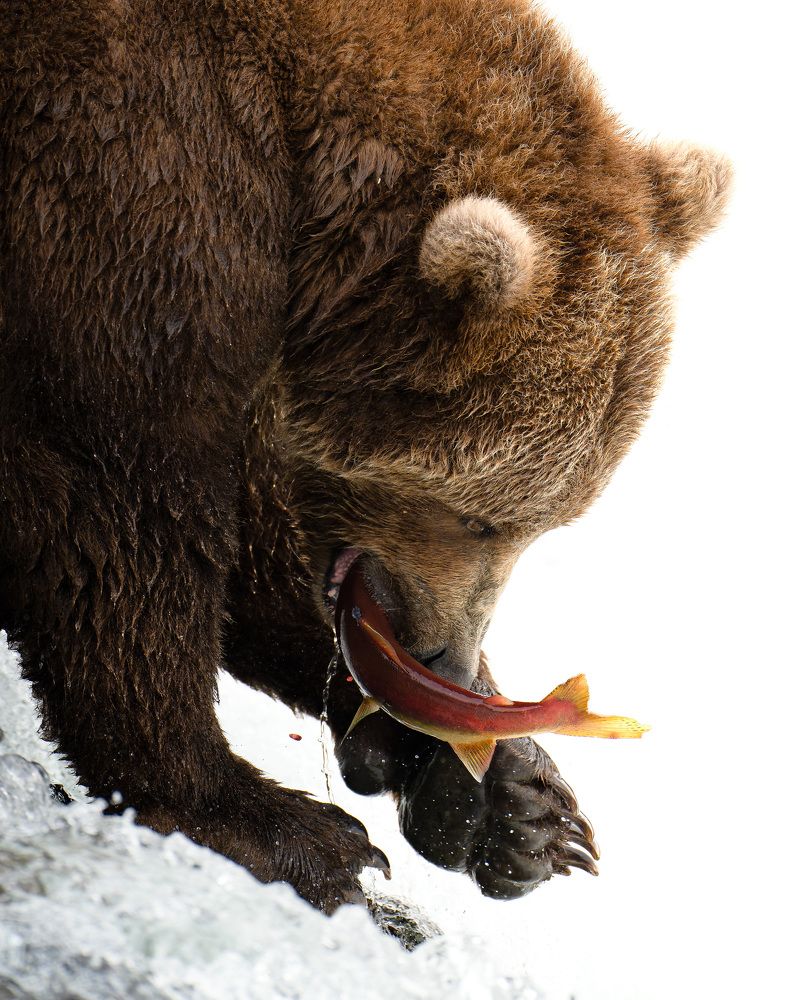 Photograph by Karthik Subramaniam