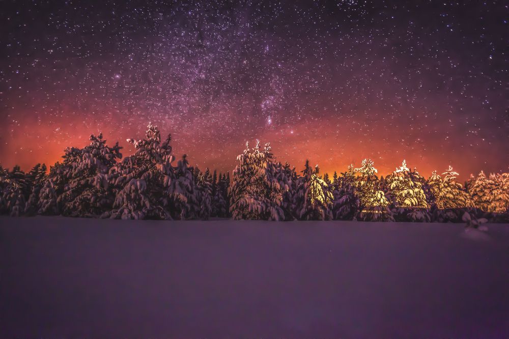 Photograph by Дмитрий Шавловский