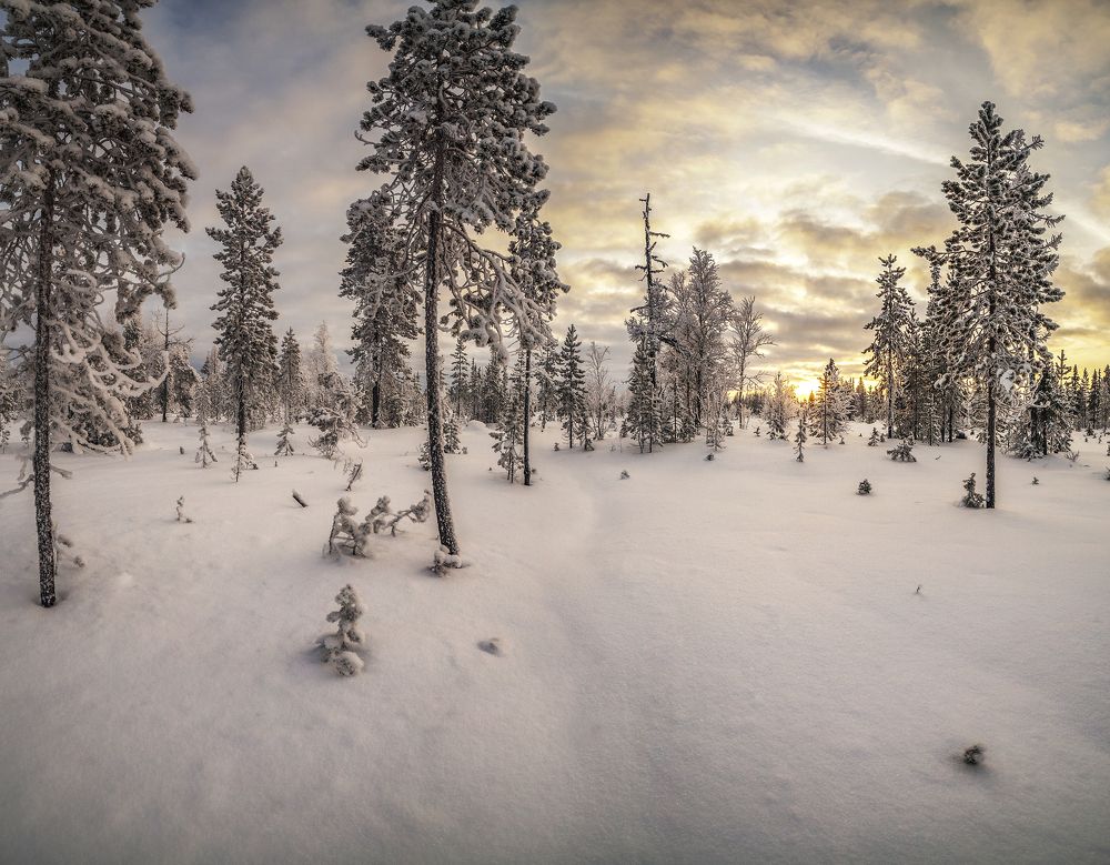 Photograph by Дмитрий Шавловский