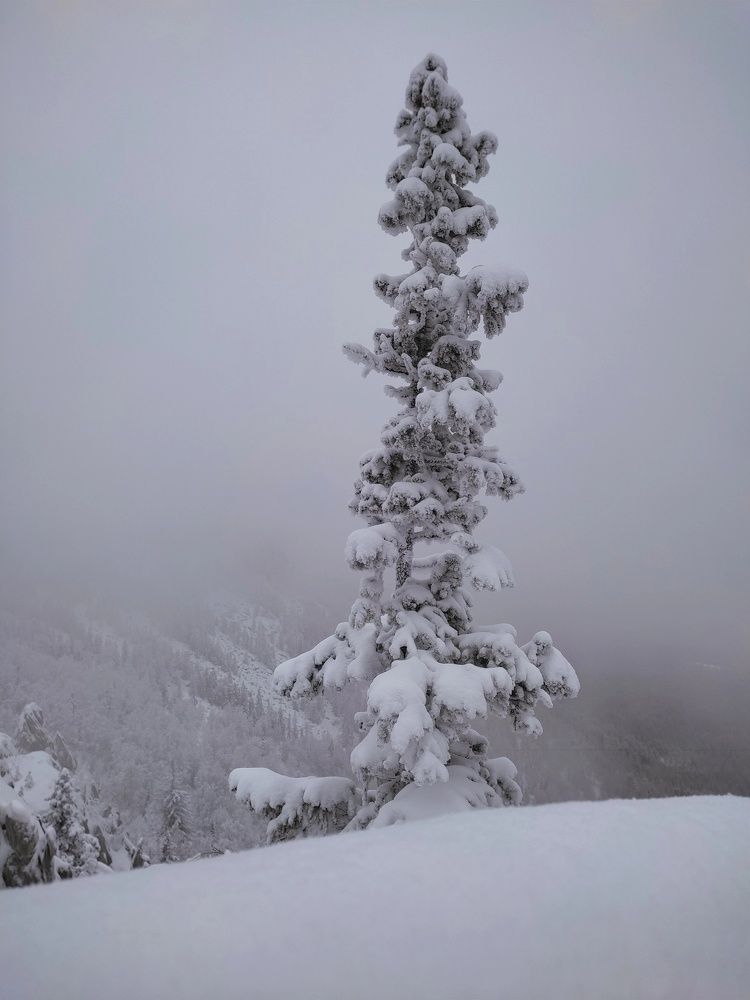 Photograph by Наталья