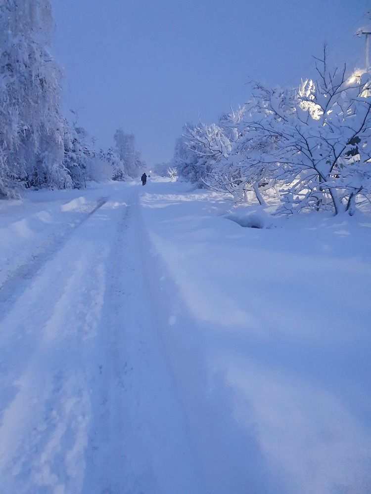 Photograph by Анастасия Трофимовская