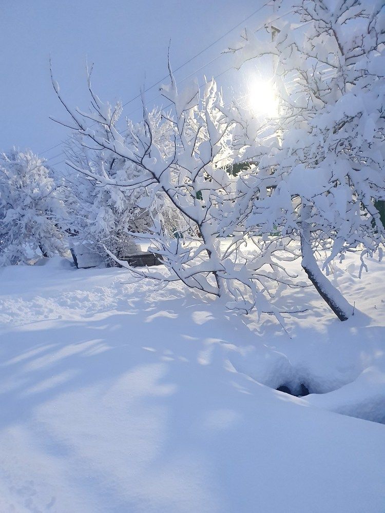 Photograph by Анастасия Трофимовская